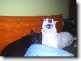 Foto:Od v�eho n�co :):Hep��....