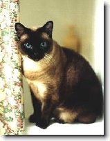 Foto:SIAM. A THAJ.KOKY S CELHO SVTA: