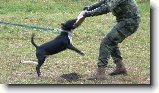 Foto:Na cvi��ku podruh� + OBRANA:Ozzy