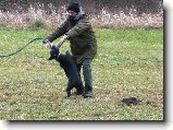 Foto:Na cvi��ku podruh� + OBRANA:Ozzy