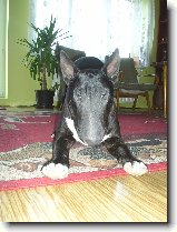 Foto:Nov� 13.4.2007:poj� blbnout
