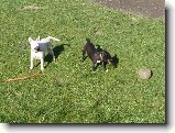 Foto:16.4.2007:pohodov� r�no