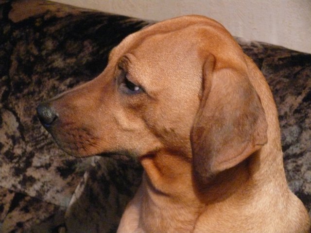 http://www.celysvet.cz/blog/galerie/491-ketlin-a-tyna-1200771623-v.jpg