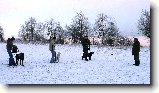 Foto:V�no�n� z�vod psovod� !!! 1 ��st .: