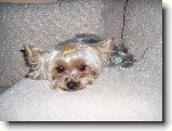 Foto:Fotky z prosince 2007: