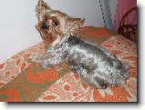Foto:Fotky z prosince 2007: