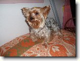 Foto:Fotky z prosince 2007: