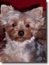 Foto:Jednou takhle veer: