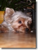 Foto:Jednou takhle veer: