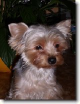 Foto:Jednou takhle veer: