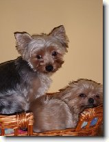 Foto:Jednou takhle veer: