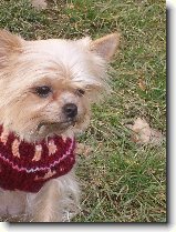 Foto:Prochzka venku: