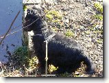Foto:venku na poli:tady sme byli u vody tak�e sem j� musela m�t na vod�tku bylo na n� o�ividn� vid�t jak by se tam r�da vyhrla:)