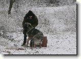 Foto:V�no�n� z�vod psovod� !!! 2 ��st .: