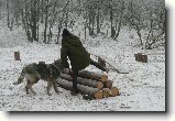 Foto:Vánoční závod psovodů !!! 2 část .: