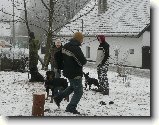 Foto:Vánoční závod psovodů !!! 2 část .: