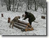 Foto:V�no�n� z�vod psovod� !!! 2 ��st .: