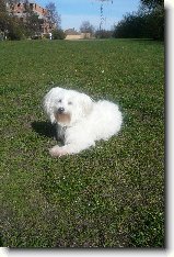 Foto:Bezen:Posledn fotka z dnen prochzky 30.3.