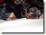 Foto:Kdy� byla Amy mal�: