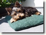 Foto:Kdy� byla Amy mal�:
