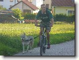 Foto:T�bor se psem:): A tohle jsou vytrvalostn� zkou�ky