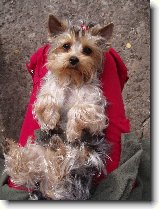 Foto:fotky z roku 2006: