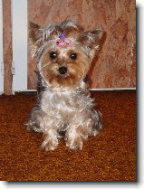 Foto:fotky z roku 2006: