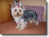 Foto:fotky z roku 2006: