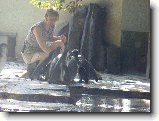Foto:Zoo:Krmen� tu�n�k�