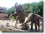 Foto:Zoo: