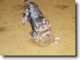 Foto:Fotky z ledna 2007: