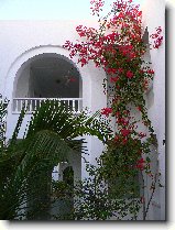 Foto:OSTROV DJERBA:UBYTOVN