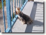 Foto:Fotky z �nora 2007: