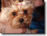 Foto:Fotky z �nora 2007: