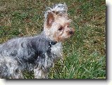 Foto:Fotky z �nora 2007: