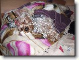 Foto:Fotky z �nora 2007: