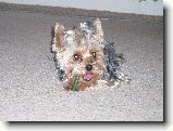 Foto:Fotky z �nora 2007: