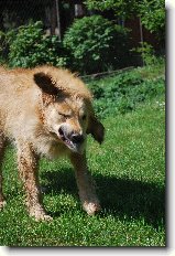 Foto:Baru�ka-Zl���ek:hahahahaha