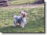 Foto:Fotky z b�ezna 2007: