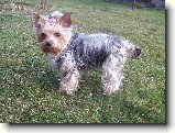 Foto:Fotky z b�ezna 2007: