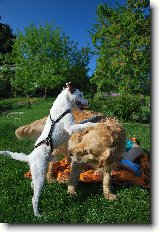 Foto:N�v�t�va Spikeho: