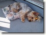 Foto:Fotky z dubna 2007: