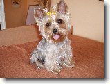 Foto:Fotky z dubna 2007: