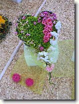 Foto:FLRA OLOMOUC 2009: