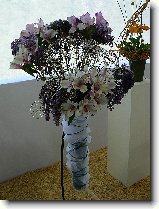 Foto:FLRA OLOMOUC 2009: