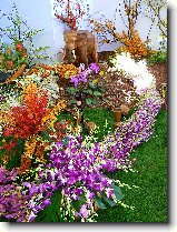 Foto:FLRA OLOMOUC 2009: