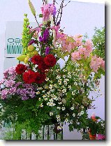 Foto:FLRA OLOMOUC 2009: