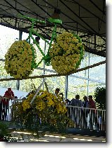 Foto:FLRA OLOMOUC 2009: