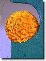 Foto:FLRA OLOMOUC 2009: