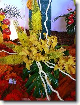 Foto:FLRA OLOMOUC 2009: